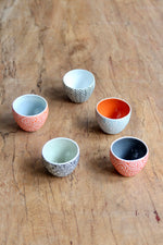 5-Piece Sake Cup Set C + Gift Box